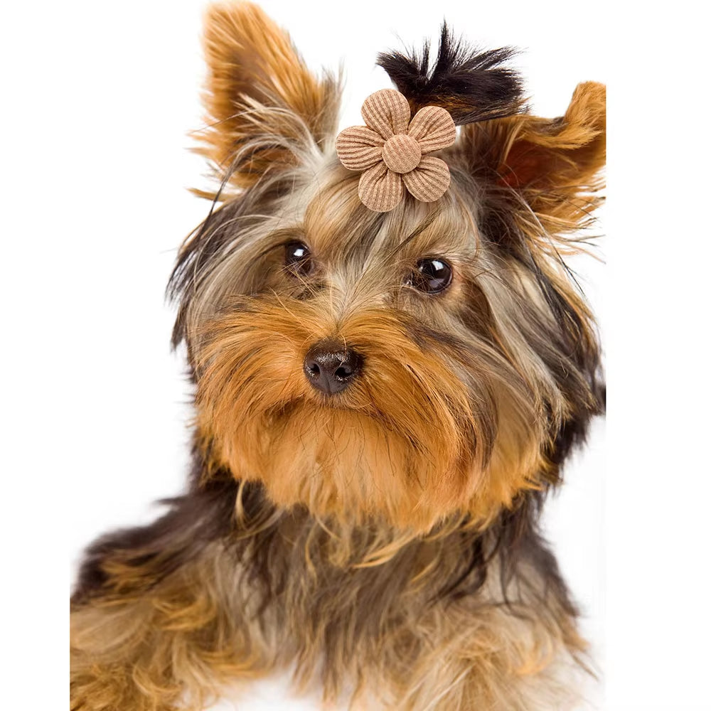 Transform your pet’s style with our vibrant flower bows