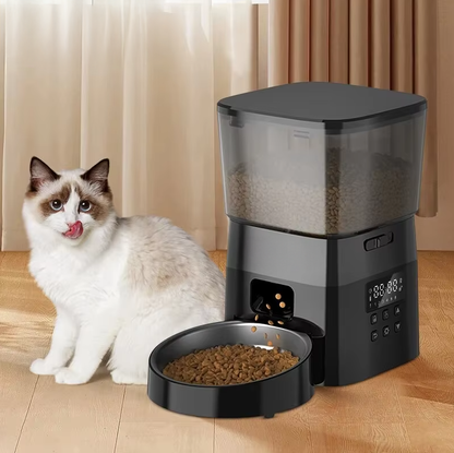 Automatic Pet Feeder. Feed your pets effortlessly for busy lifestyles