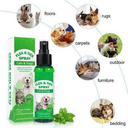 Protect your pets and furniture from fleas with our Fleas, Scabiesmites & Larvae Prevention Spray