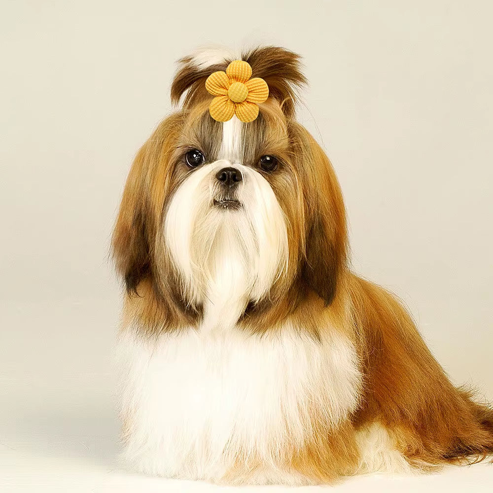 Express your pet's personality with our fun & playful colours. Mix & match for each day of the week