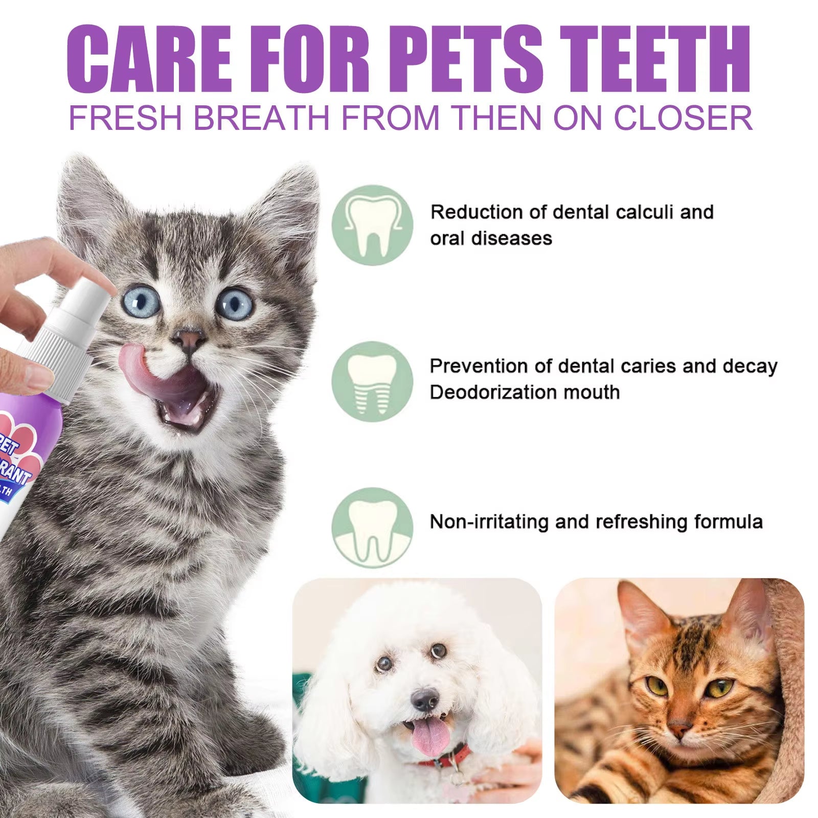 Oral care for your pets and why our pet deodorant spray is a must-have in your pet's care routine