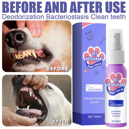 Before & after results using our pet deodorant spray