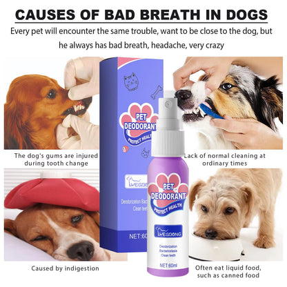 The causes of bad pet breath and how our pet deodorant spray can resolve this issue
